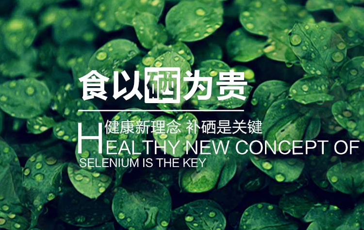 百岁硒