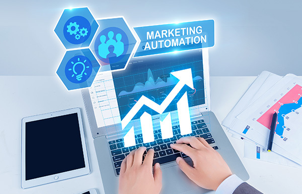 亚洲精品久久久午夜麻豆