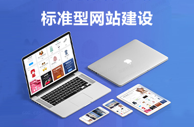 标准型网站建设